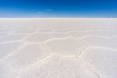 Bolivya 'da güneşli bir günde Salar de Uyuni tuzunun parlak yüzeyi
