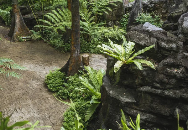 Forhistorisk Kunstigt Landskab Fra Berømte Singapore Botanisk Have - Stock-foto