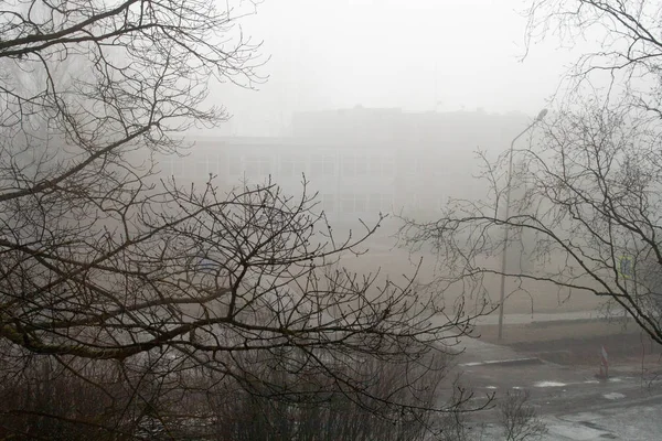 Ранковий туман з деревами силуети і будівля і вуличні туманні контури — стокове фото
