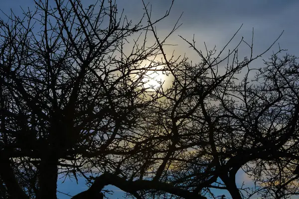 Beinahe Unheimlich Der Winterliche Abendhimmel Kndigt Schnee — Zdjęcie stockowe