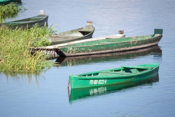 Waniewo village, Podlasie, Polonya yakınındaki Narew Nehri Narew Milli Parkı'nda üzerinde eski tekneler