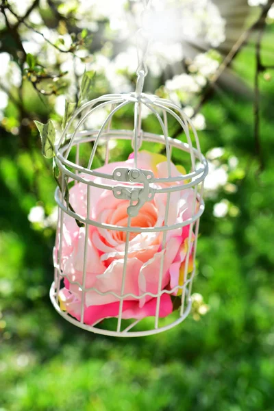 Blumenschmuck im Frühlingsgarten — Stockfoto