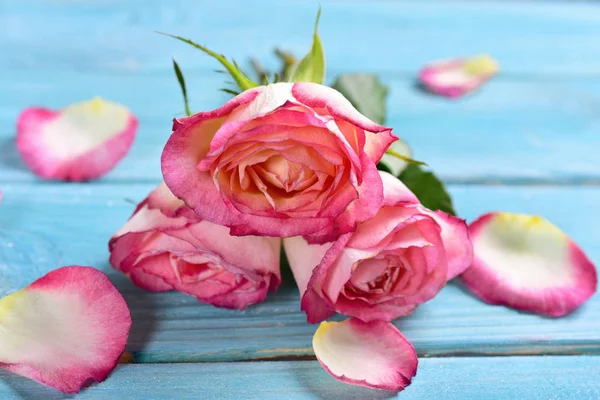 青い木製のテーブルに美しいピンクのバラ — ストック写真
