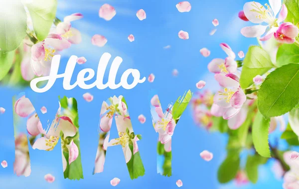 Hello May Background Blooming Apple Flowers Tree Branch Blue Sky — Stock Photo, Image