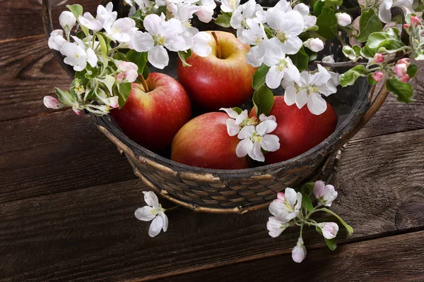 Fresh Red Apples Blossom Branches Wicker Basket Dark Wooden Background — Stock Photo, Image