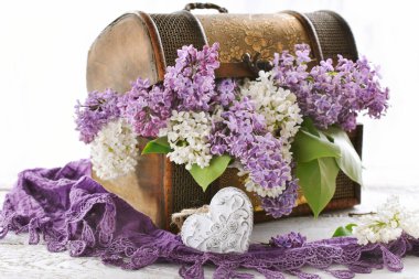 Beyaz tenli, eski tahta sandıkta mor ve beyaz leylak çiçekleri. 