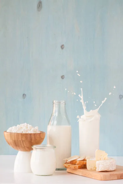 ヨーグルトとチーズのミルク — ストック写真