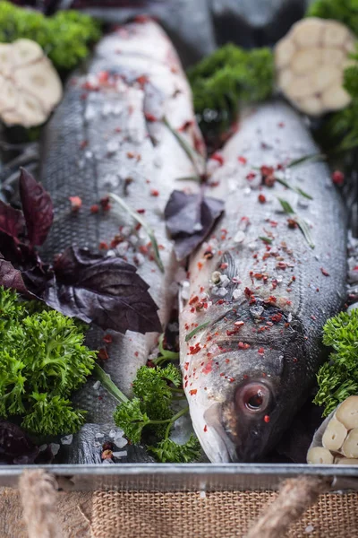 맛 있는 신선한 생선 — 스톡 사진