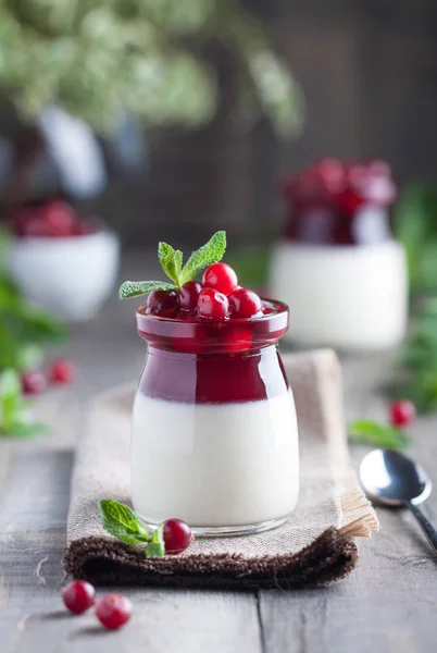 Domácí kokosová Panna Cotta — Stock fotografie