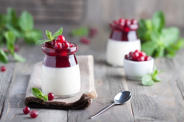 Hemmagjord kokos pannacotta — Stockfoto