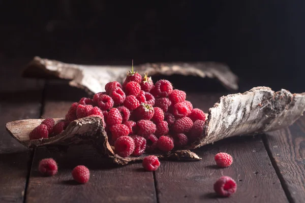 Fresh raspberry in the bark — Stock Photo, Image