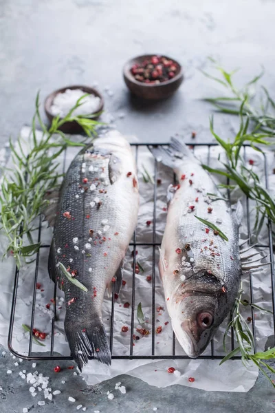 Meerbarsch frischer Fisch — Stockfoto