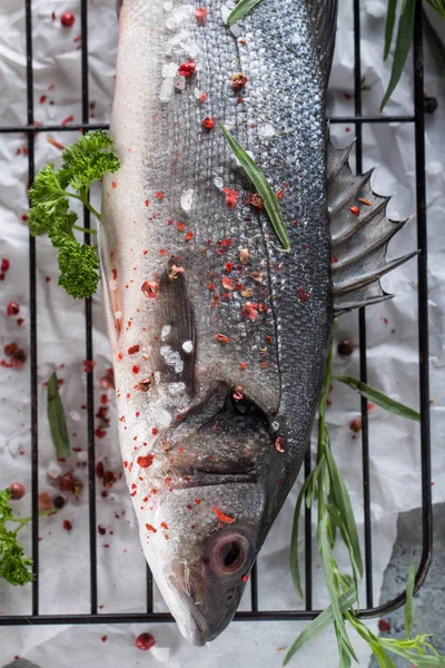 Meerbarsch frischer Fisch — Stockfoto