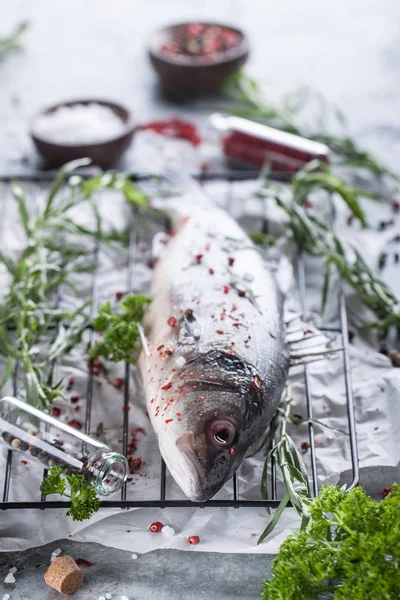 Meerbarsch frischer Fisch — Stockfoto