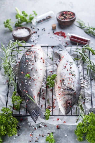 Meerbarsch frischer Fisch — Stockfoto