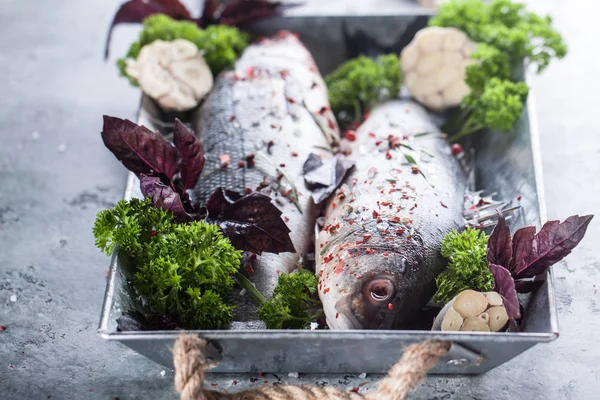 Meerbarsch frischer Fisch — Stockfoto