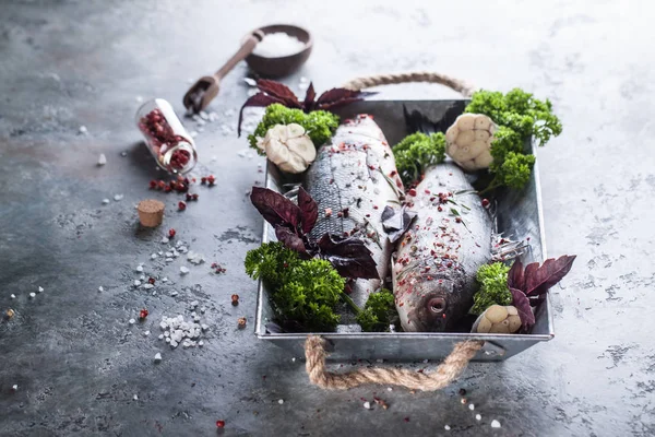 Meerbarsch frischer Fisch — Stockfoto