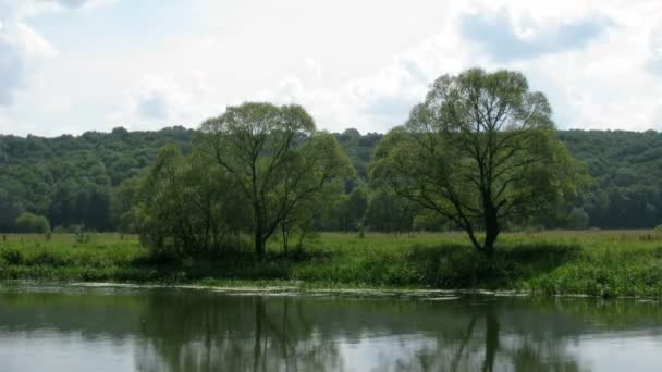 Paesaggio estivo. Interruzione temporale . — Video Stock