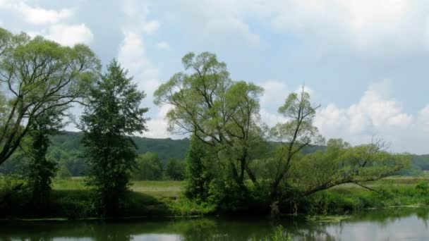 Prachtig zomers landschap — Stockvideo