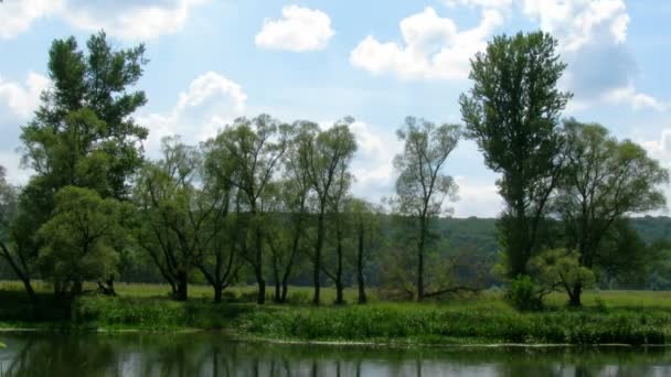 Hermoso paisaje de verano. Tiempo de caducidad . — Vídeos de Stock