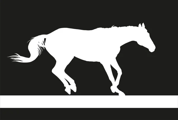 Cavallo silhouette vettoriale illustrazione — Vettoriale Stock
