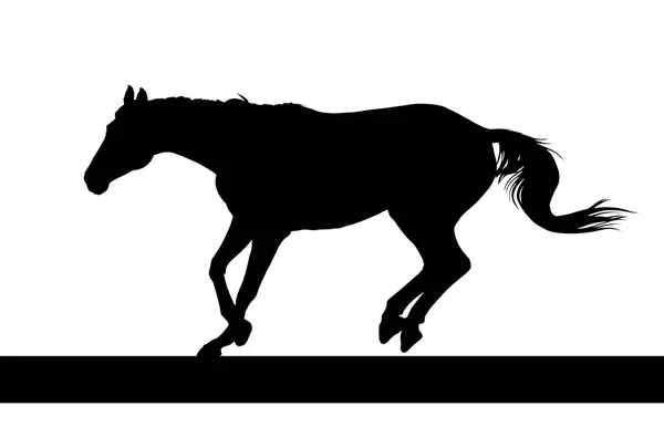 Horse silhouette vector illustration — Stock Vector