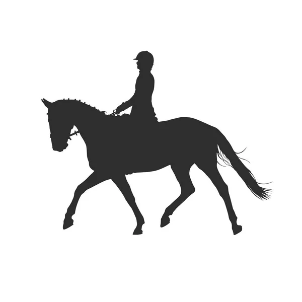 Illustration vectorielle Horsewoman — Image vectorielle