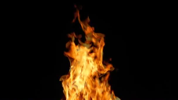 불 가까이 — 비디오
