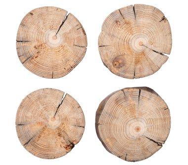 Wooden Stump Isolated on White Background clipart
