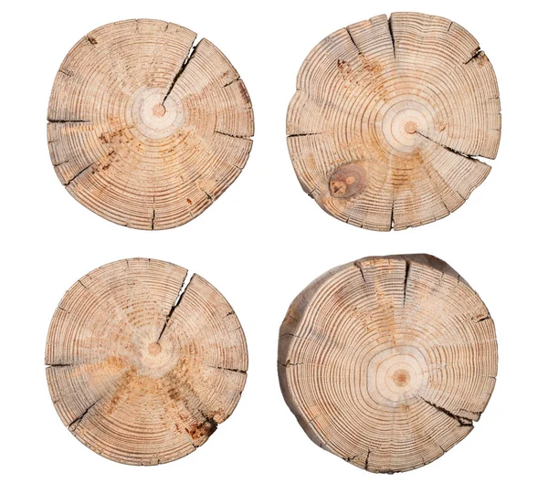 Dřevěný pahýl izolované na bílém pozadí — Stock fotografie