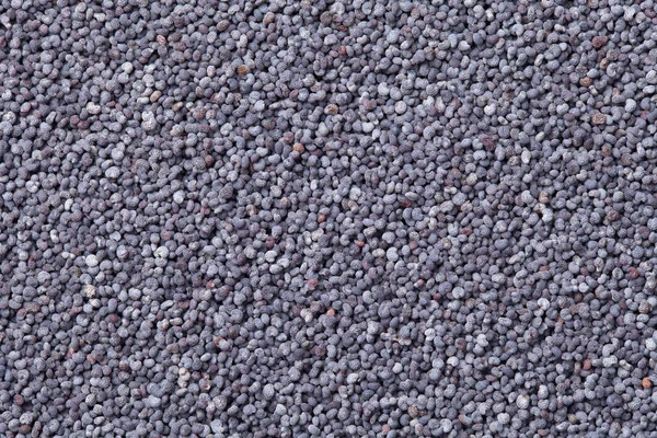 Poppy Seeds Background — Stock Photo, Image