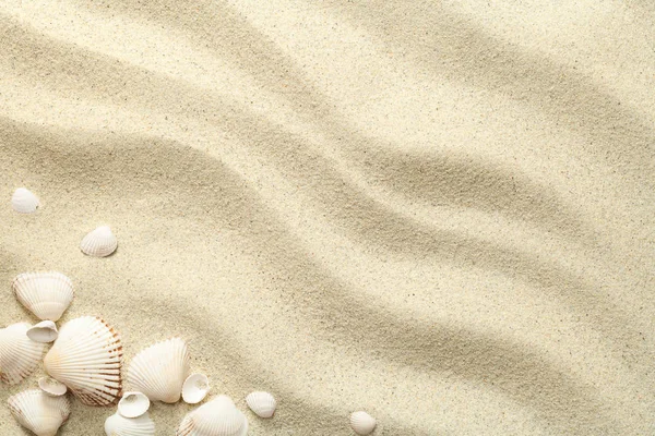 Fundo de areia com conchas — Fotografia de Stock