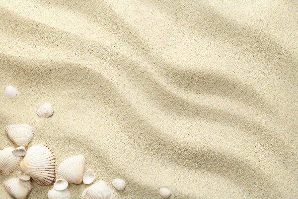Песок фон с раковинами
