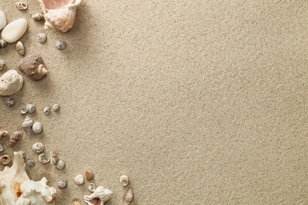 Homokos strand háttér-val kagyló — Stock Fotó