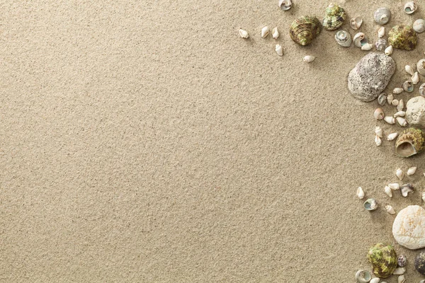 Sand, strand bakgrund med snäckor och stenar — Stockfoto