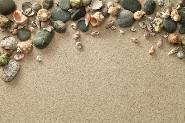 Arena, fondo de playa con conchas y piedras — Foto de Stock