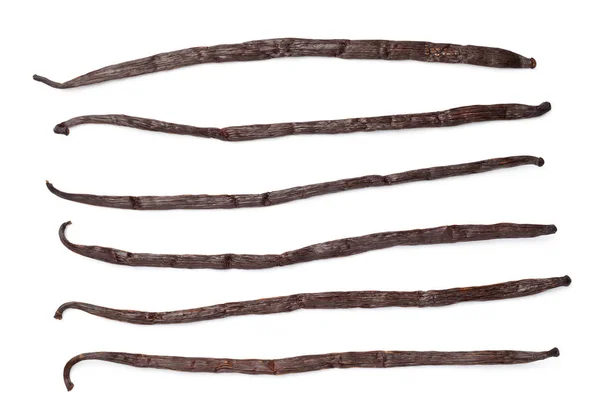 Ванільні палички ізольовані на білому тлі Стокова Картинка