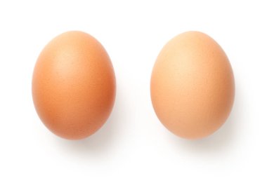 tavuk yumurtası