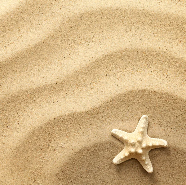 Starfish Fundo Areia Ondulada Vista Cima Depósito Plano — Fotografia de Stock