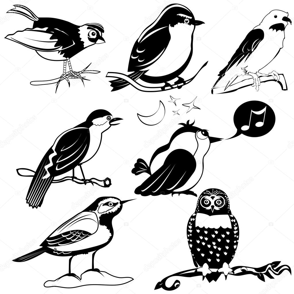 birds black collection