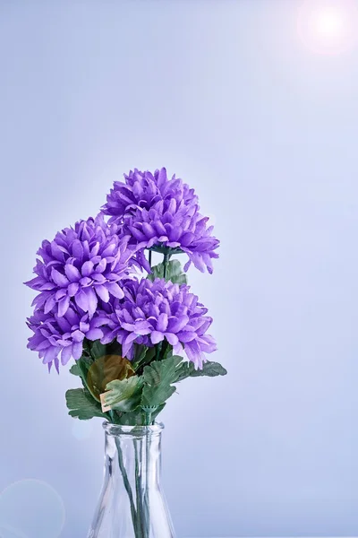 Plastic Flower Bouquet — Stock fotografie