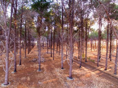 Soyut stok fotoğraf