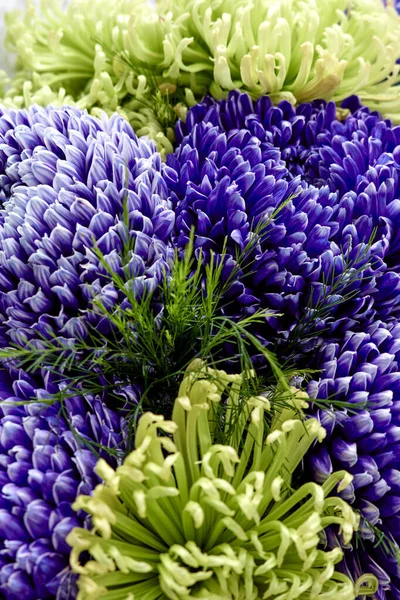 Studio Photo Bunch Flowers — Stock Photo, Image