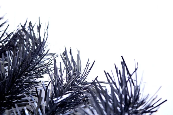 Студийное Фото Рождественской Елки — стоковое фото