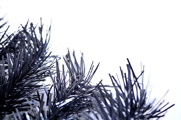 Studio Photo Christmas Tree — Stock Photo, Image