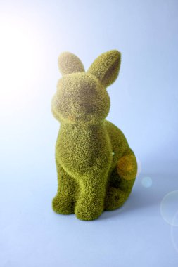 Paskalya tavşanının stüdyo fotoğrafı.