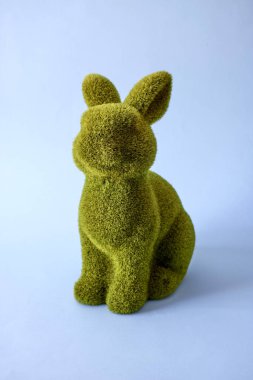 Paskalya tavşanının stüdyo fotoğrafı.