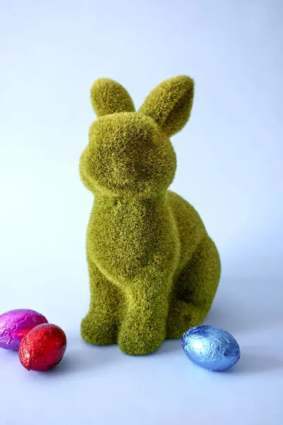 Studiová Fotka Velikonočního Zajíčka — Stock fotografie