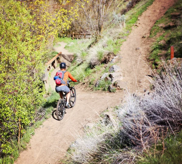 Person riding a mountain bike up a dirt road — Stock Photo, Image