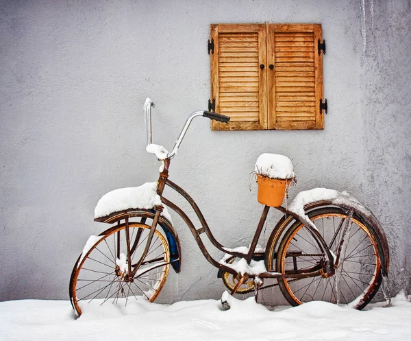 Старый велосипед с растением на нем зимой — стоковое фото